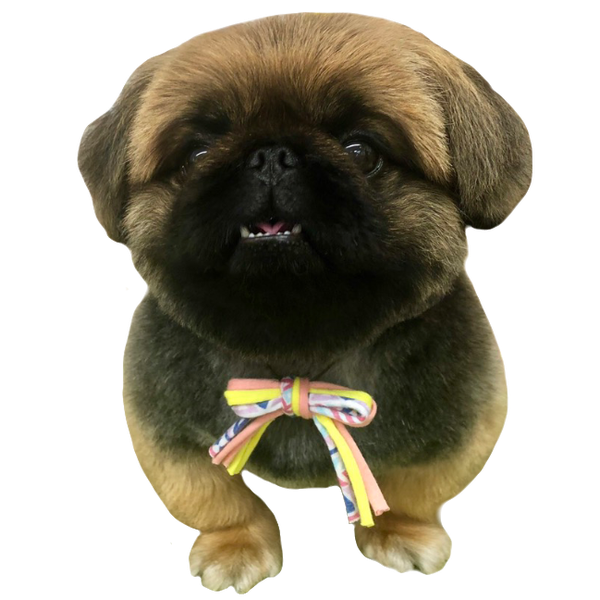 たくちぃん🐶🐾のユーザーアイコン