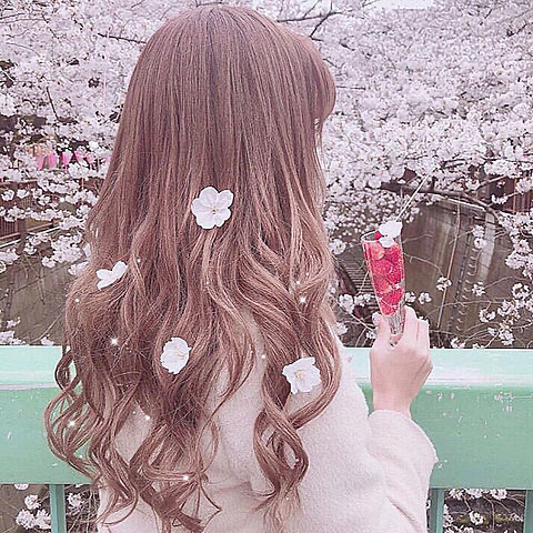 __ゆたちゃん*🐰のユーザーアイコン