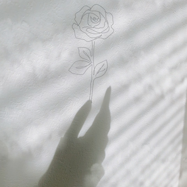 曇りいつかは晴れ🕊️のユーザーアイコン