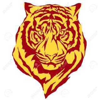 🐯sawa🐯のユーザーアイコン