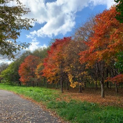 おっ!SAMURAIわっしょい!のユーザーアイコン