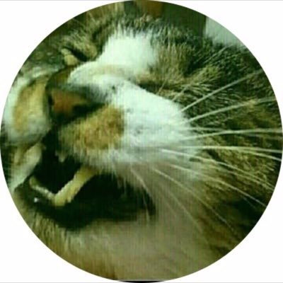 乃慧のユーザーアイコン