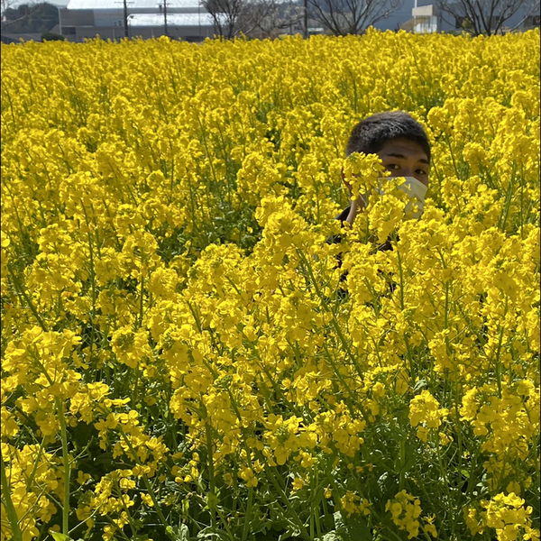 tomoのユーザーアイコン