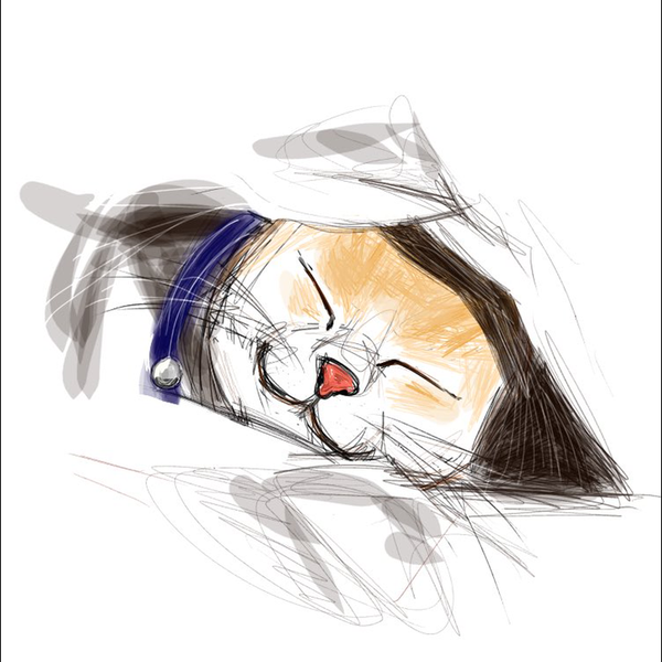 あまねのユーザーアイコン