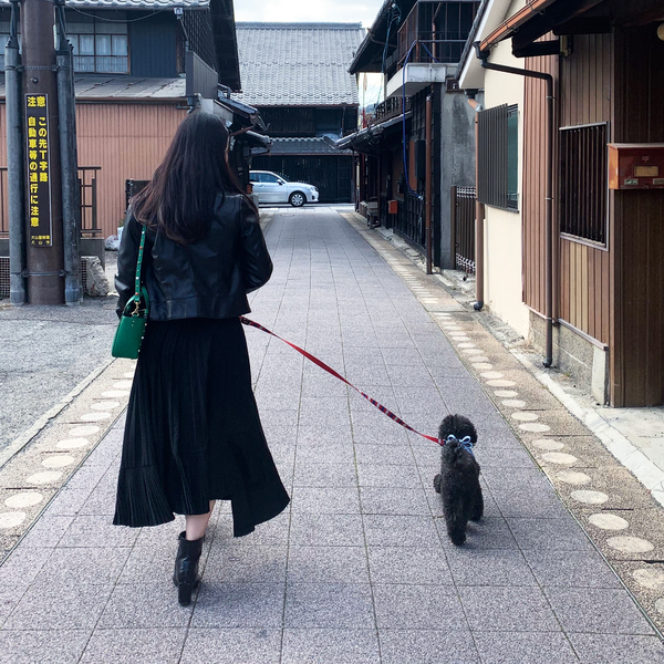 ほのちーちゃのユーザーアイコン