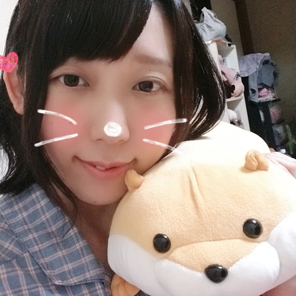 ここにゃんのユーザーアイコン