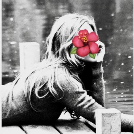 🌺marilynのユーザーアイコン