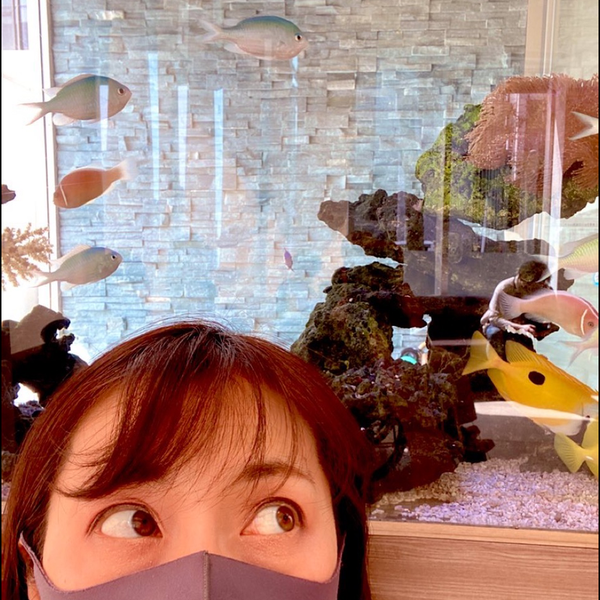 aki@アイコン変更中のユーザーアイコン