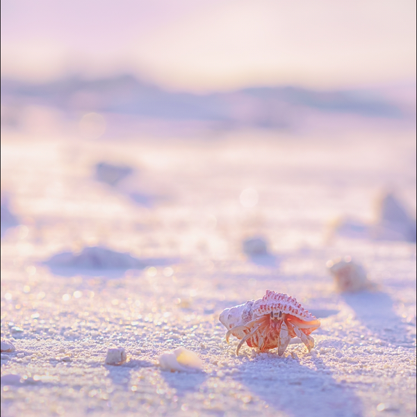 L Arc En Cielの歌詞 楽曲一覧 音楽コラボアプリ Nana