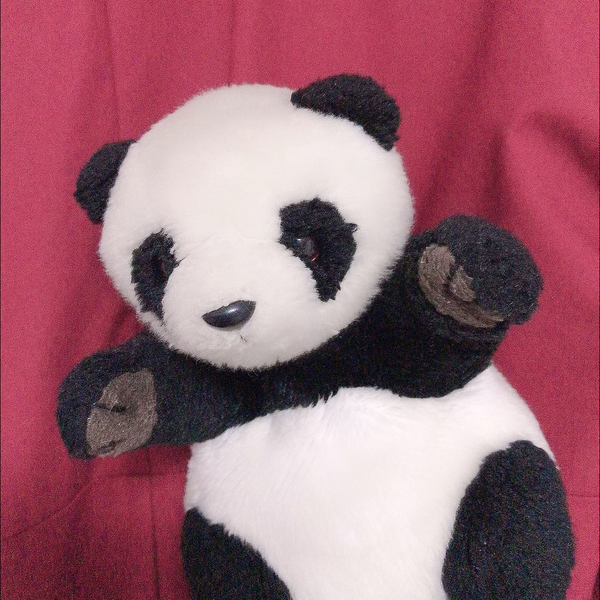 ❄☃パンダ侍Kちゃん🐼🐾のユーザーアイコン