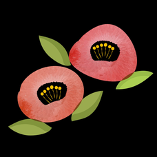 白い炎 斉藤由貴の歌詞 音楽コラボアプリ Nana