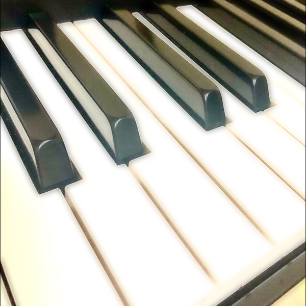 さちのユーザーアイコン