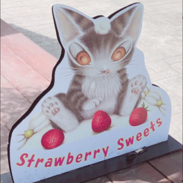 あけしーず💫のユーザーアイコン