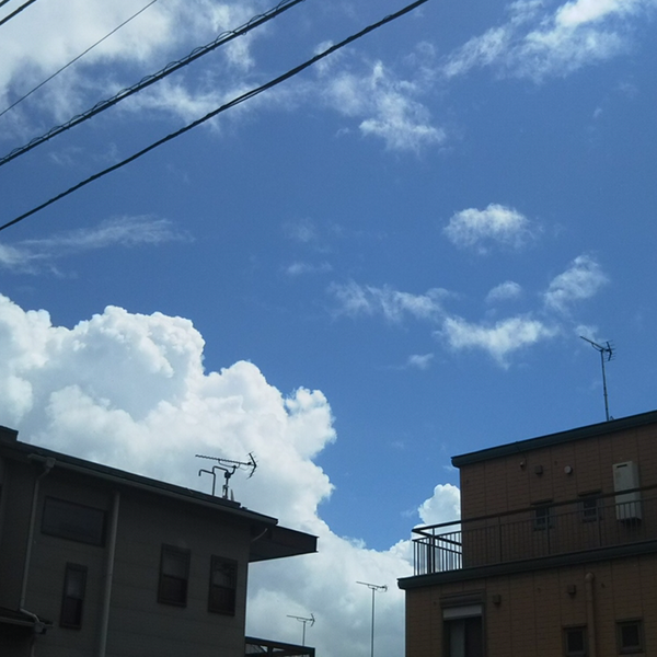 yuzukiのユーザーアイコン
