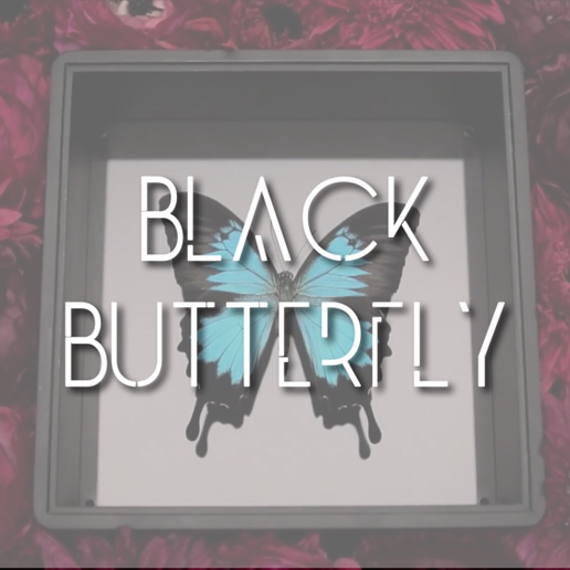 Black Butterflyのユーザーアイコン