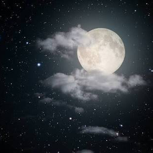 🌕moonlight project🌕のユーザーアイコン