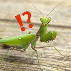 ストップ ひばりくん 雪野 ゆき 歌ってみた 弾いてみた 音楽コラボアプリ Nana