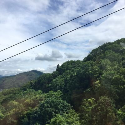 すいのユーザーアイコン