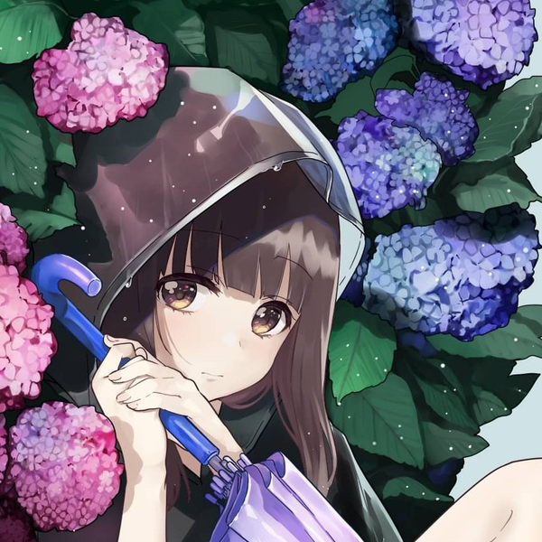 shizukuのユーザーアイコン