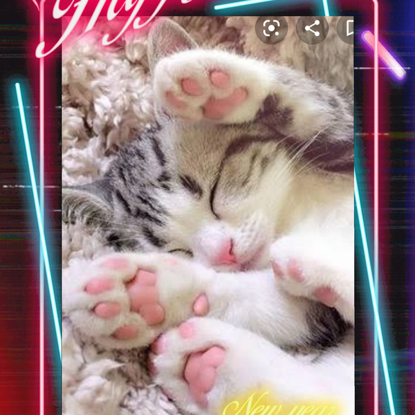 マチ˙˚ʚ😈ɞ˚˙のユーザーアイコン