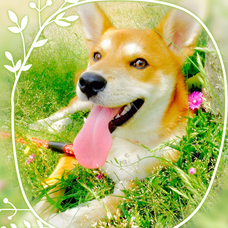 スイマーよ B Zの歌詞 音楽コラボアプリ Nana スイマーよ B Zの歌詞 音楽コラボアプリ Nana