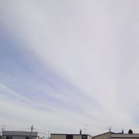 もとサユーリのユーザーアイコン