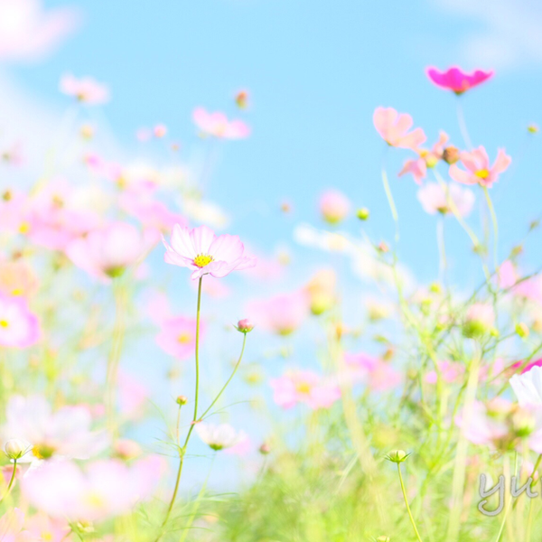 ておてお🌱のユーザーアイコン