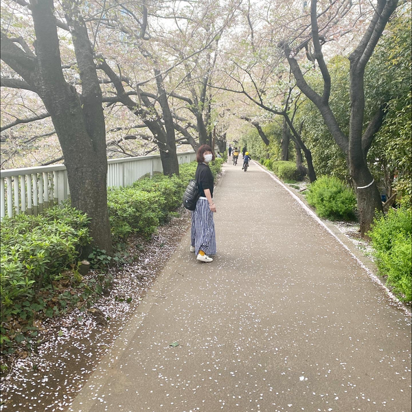 たらたふぐおのユーザーアイコン