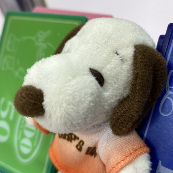 ちぇるちゃんのユーザーアイコン