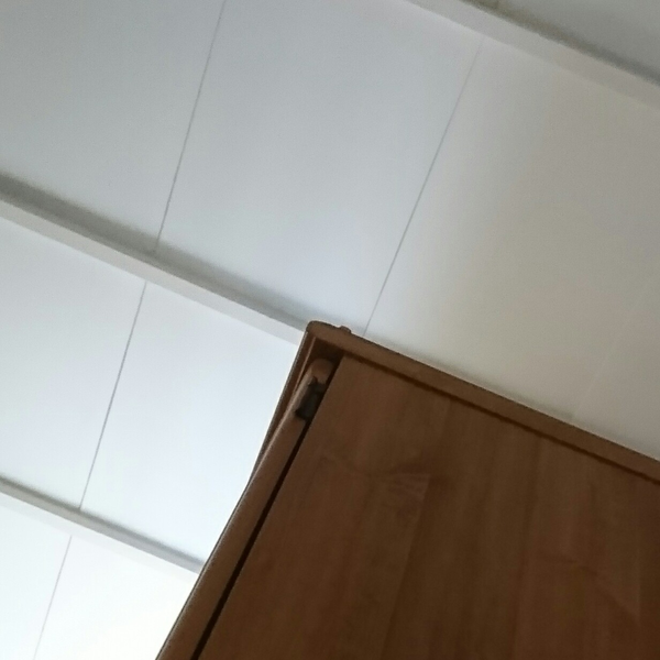 ɟⅢǝsのユーザーアイコン