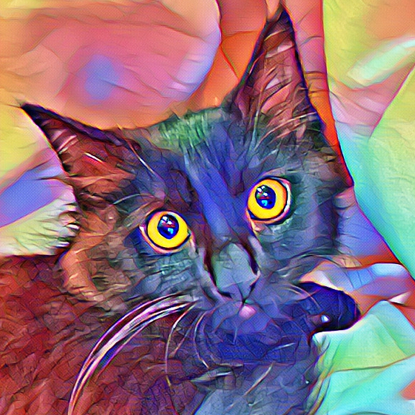 ˚*.✩ ℂ𝕝𝕖𝕗 𓃠✩.*˚のユーザーアイコン