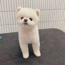 のん.のユーザーアイコン