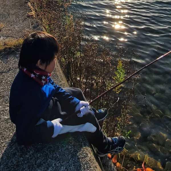 シロイヌのユーザーアイコン