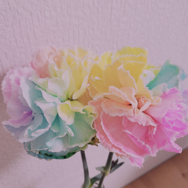 もぷる☂️🌸のユーザーアイコン