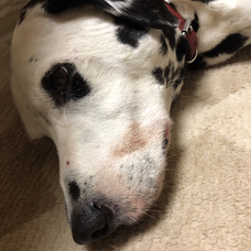 今夜月の見える丘に B Zの歌詞 音楽コラボアプリ Nana