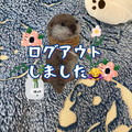 リライト🍐🧸 【コラボ済・エアハモ】