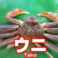 初恋キラー(shortver.)