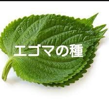 エゴマ(健康志向の油かす)のユーザーアイコン