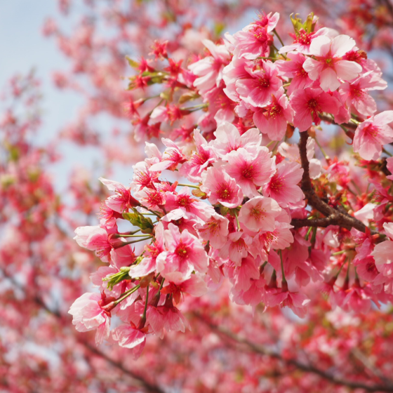 世紀末は雨に降られて | 澁谷逆太郎