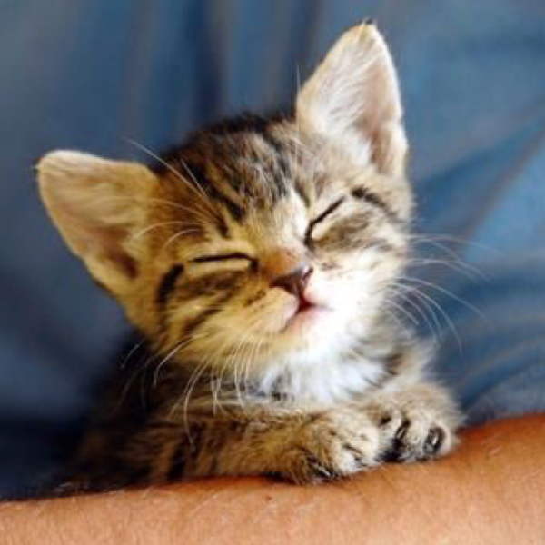 見つめていたい Flumpool By 槿 音楽コラボアプリ Nana