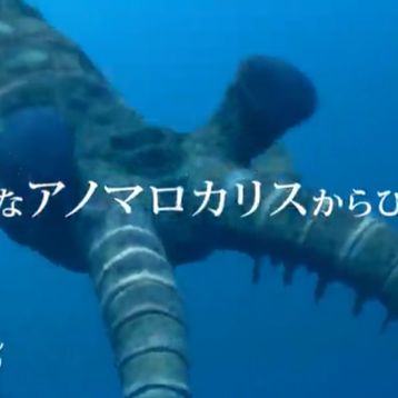 アノマロカリスのプロフィール 音楽コラボアプリ Nana